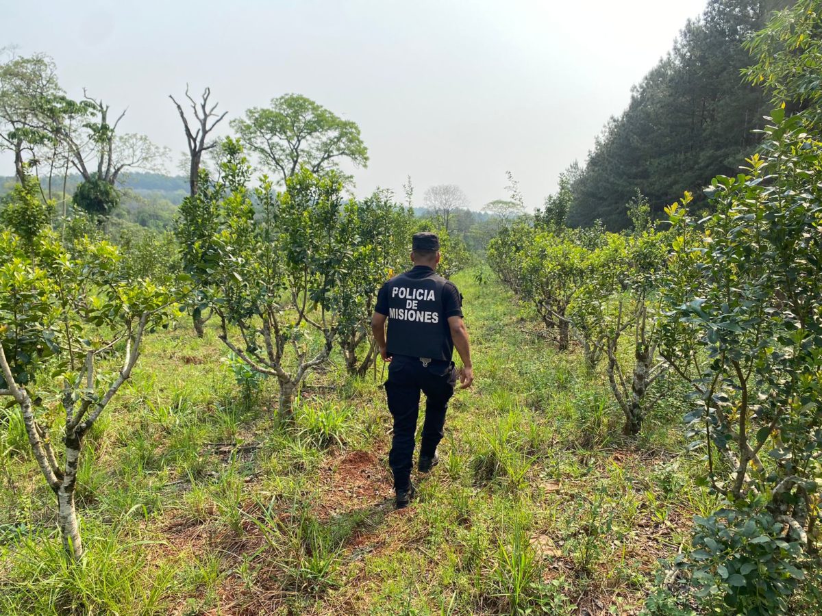 Seguridad y prevención: fuerte presencia de policías en áreas rurales