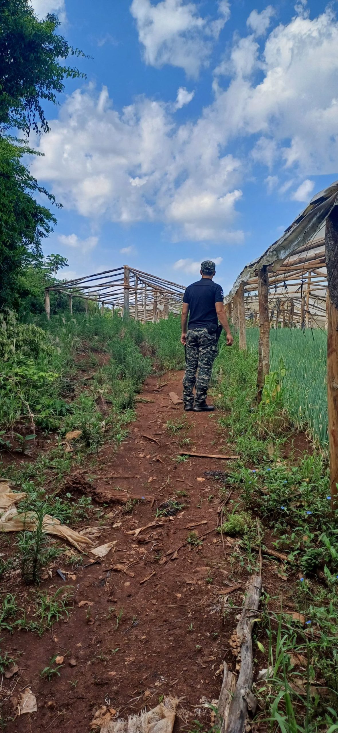 Seguridad y prevención: fuerte presencia de policías en áreas rurales