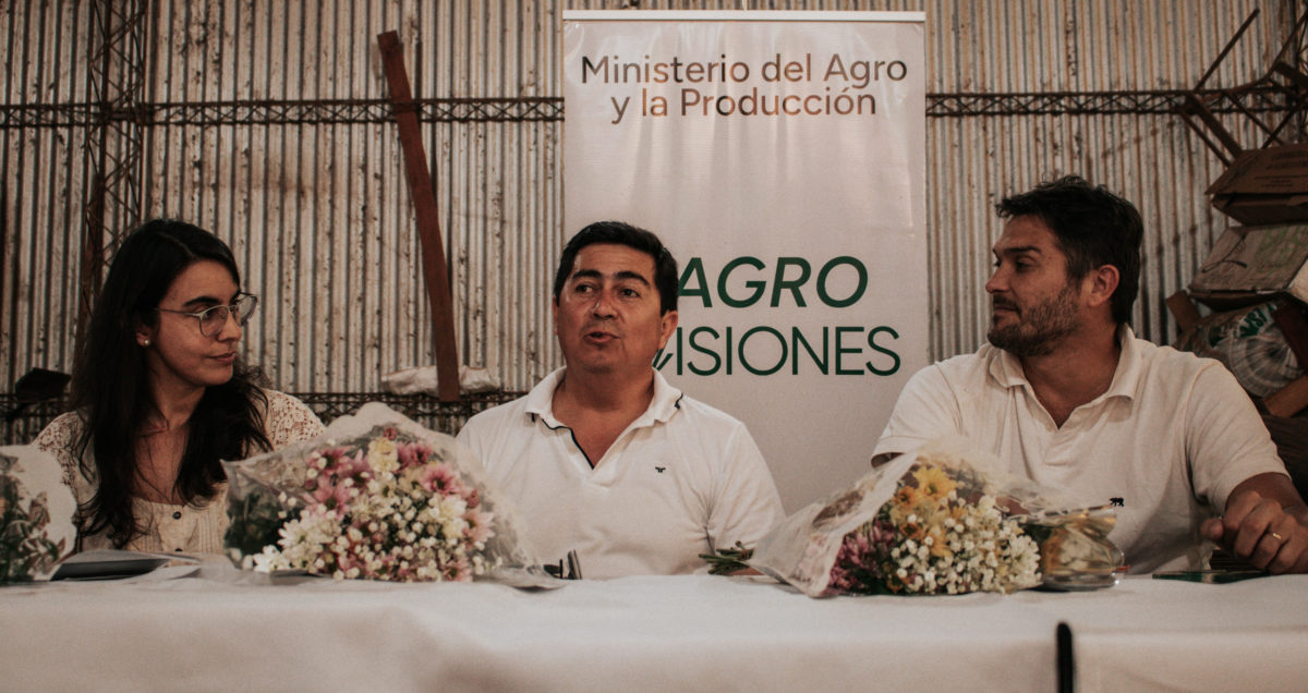 Crece la producción y comercialización de flores misioneras