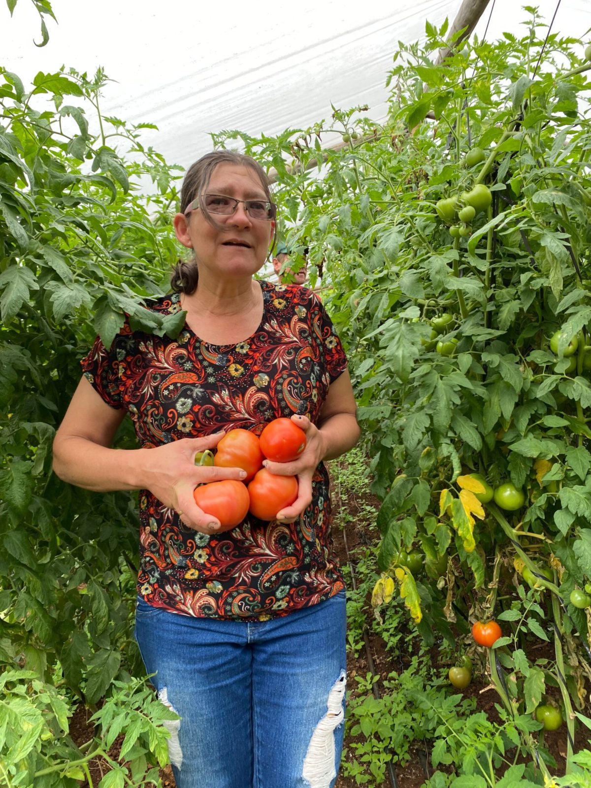 Avances en la producción y la agroecología ya benefician a miles de familias misioneras