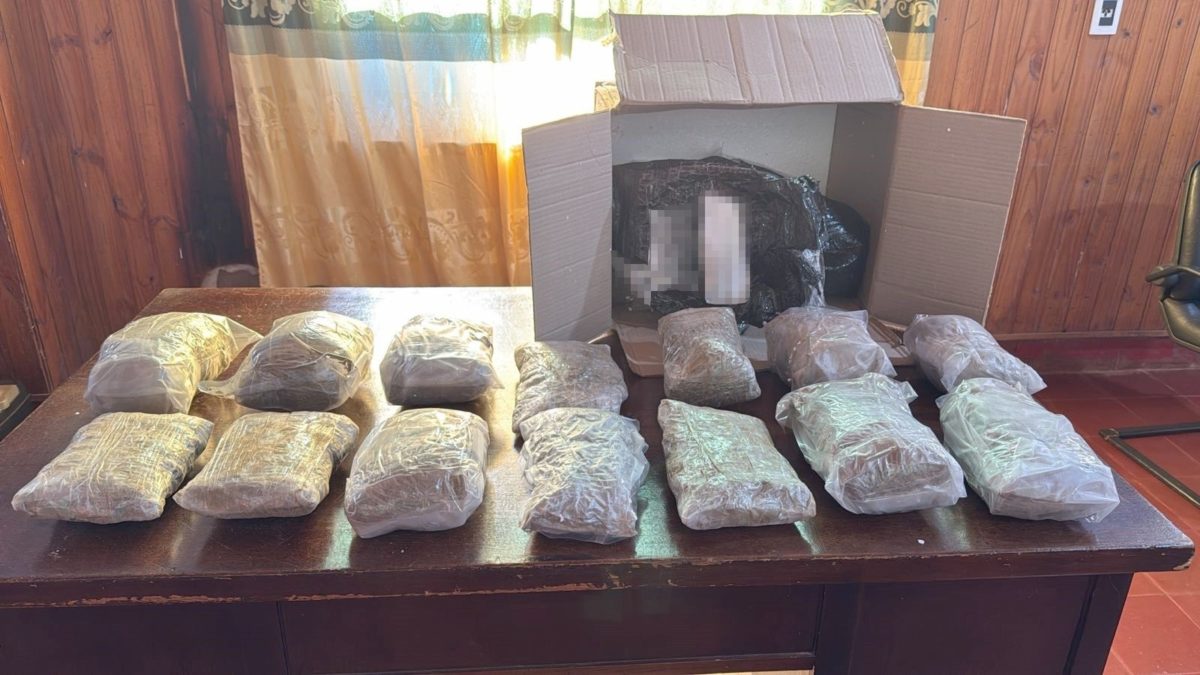 Hallaron más de 67 kilos de marihuana dentro de encomiendas en Misiones y Corrientes