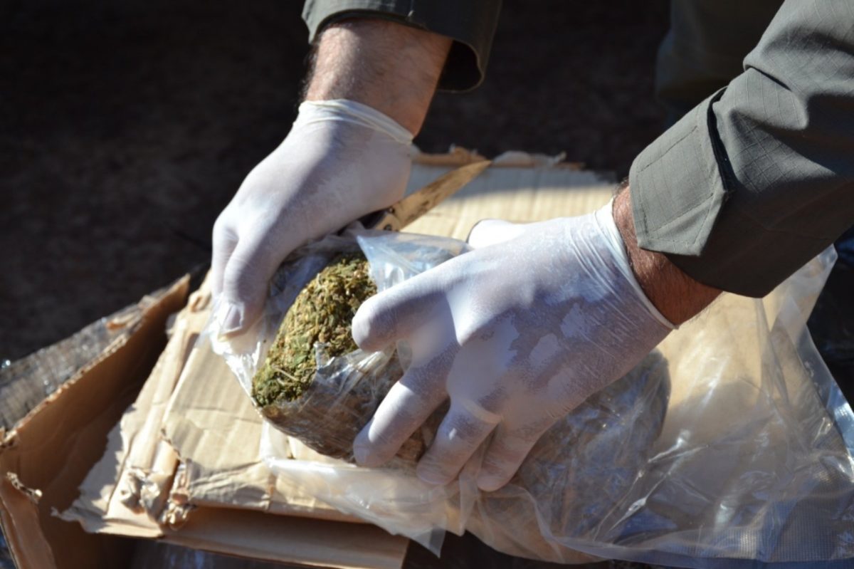 Hallaron más de 67 kilos de marihuana dentro de encomiendas en Misiones y Corrientes