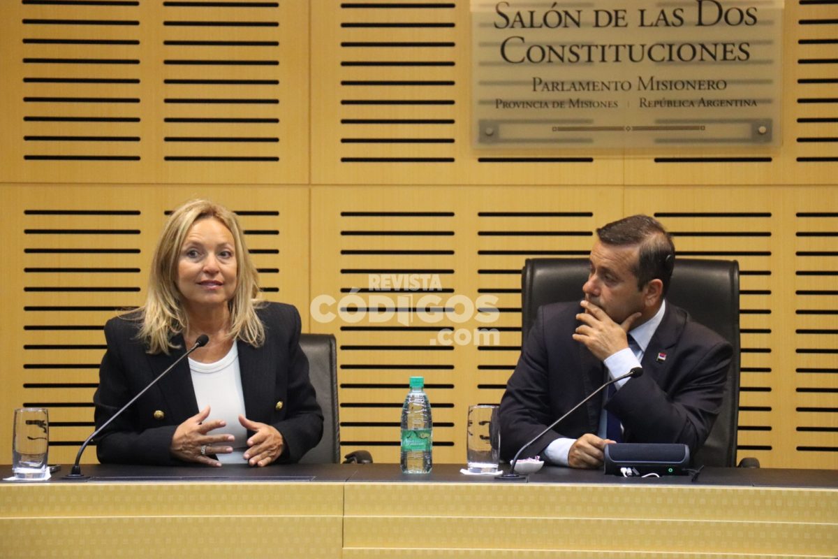 La fiscal Daniela Dupuy presentó Digital Project en la Legislatura para combatir el cibercrimen