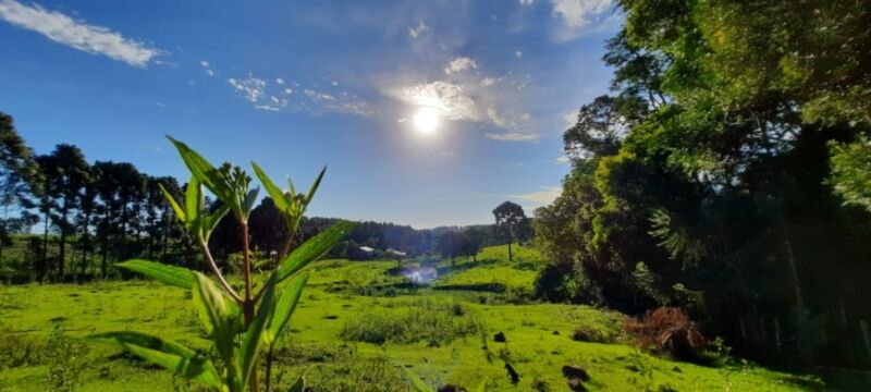 El Prosane culminó el 2024 con más de 9.000 niños evaluados en Misiones 37 74 - prosane 23 - 73