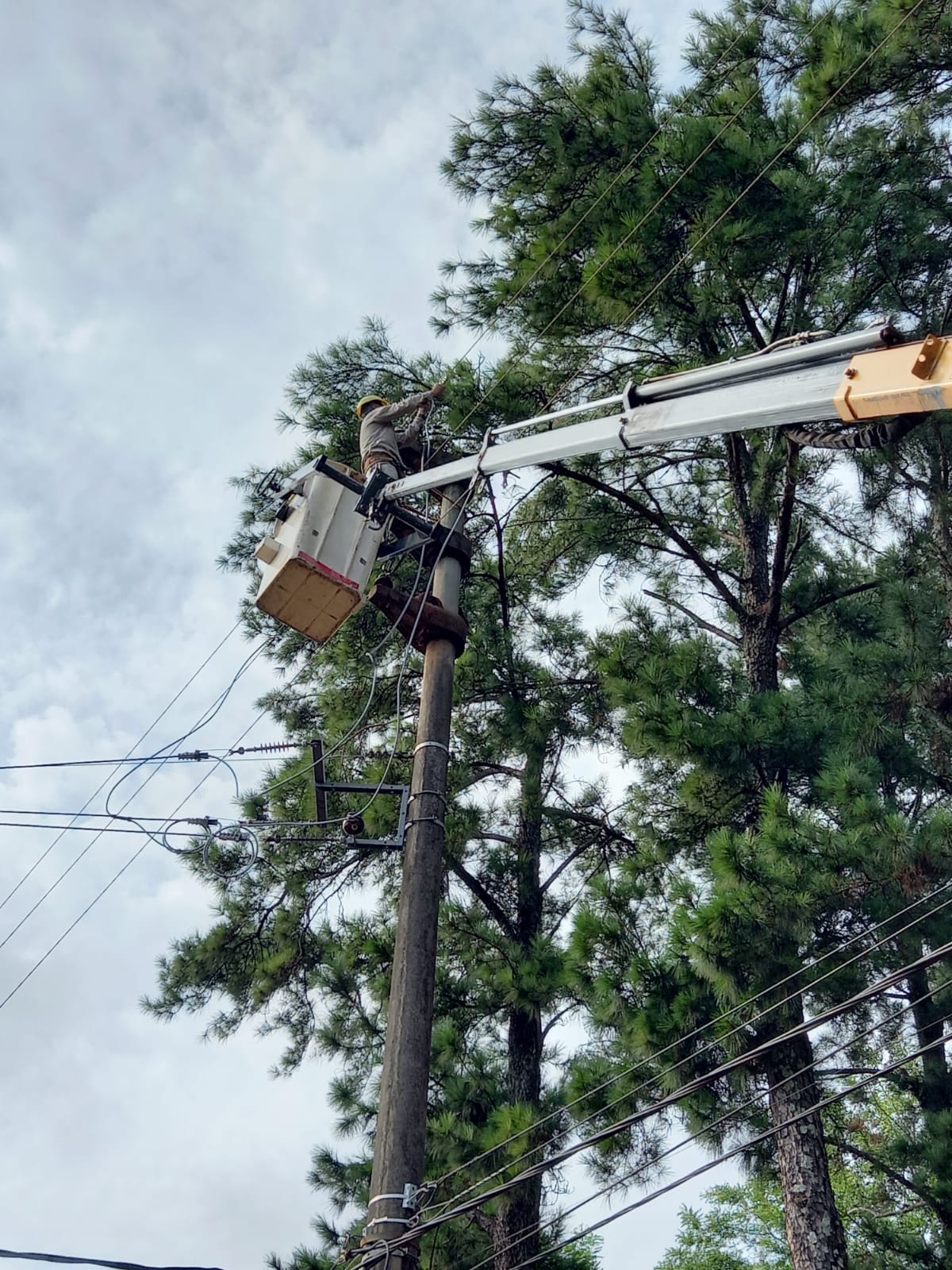 Energía de Misiones avanza con trabajos en más 160 kilómetros de líneas troncales