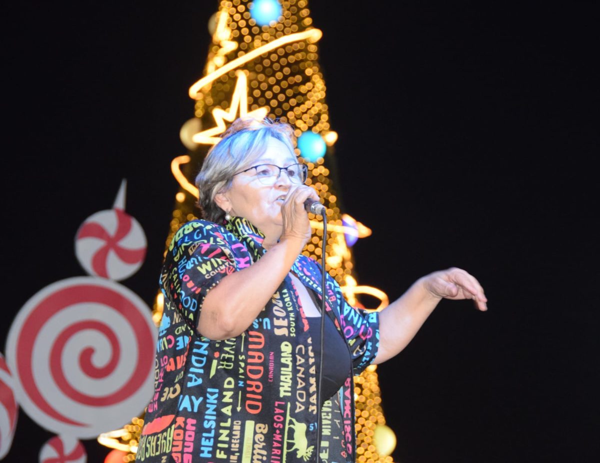 El Parque de las Fiestas de Posadas vivió una noche de arte, cultura y espectáculos