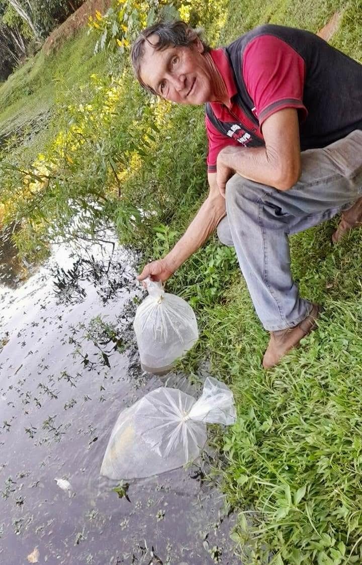 Misiones sigue apostando a la diversificación productiva con la entrega de alevines de pacú