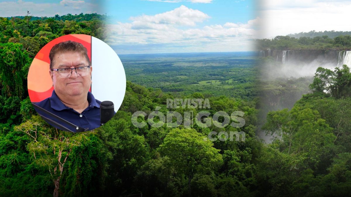 cabello y misiones