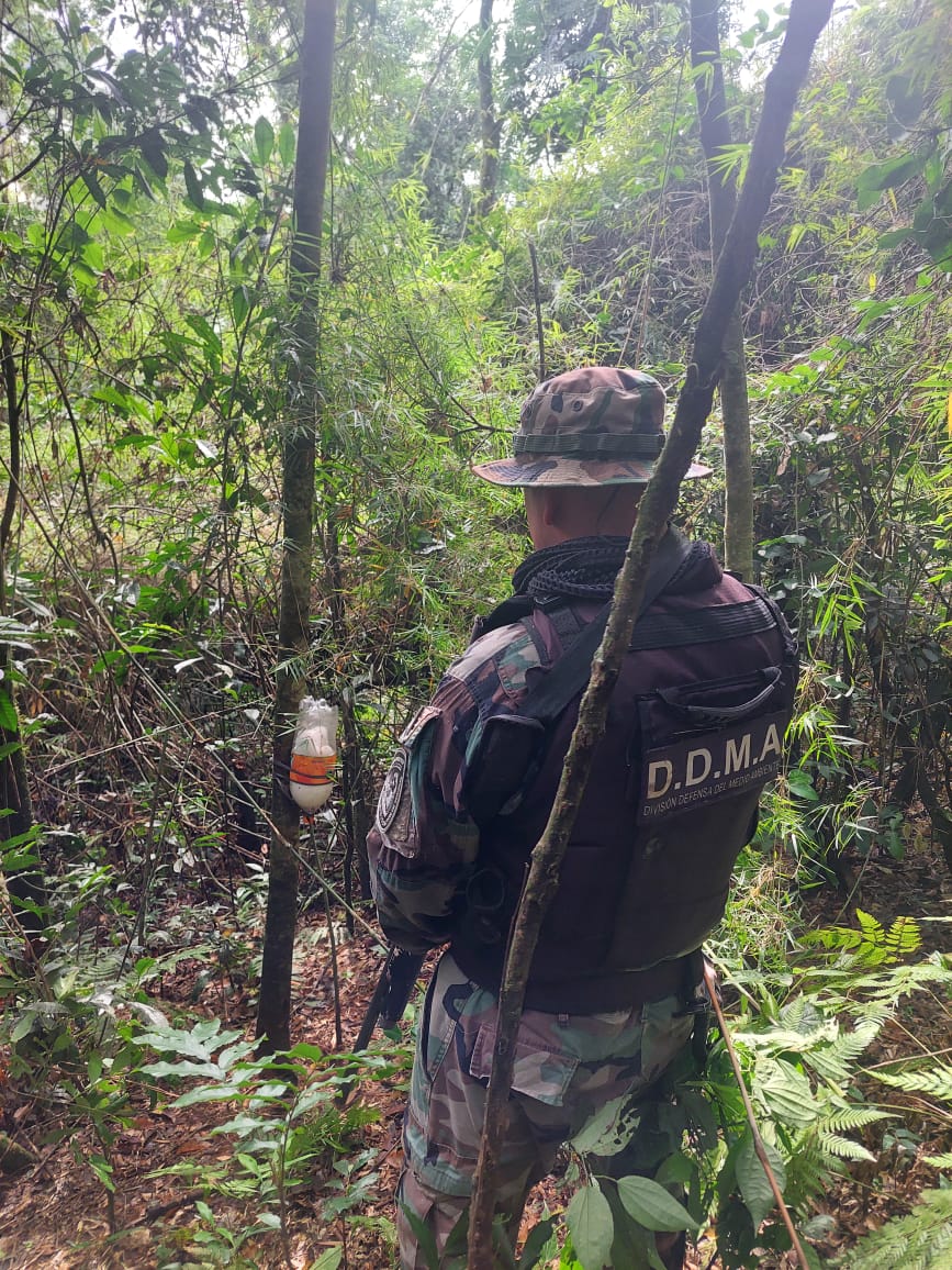 Policías ambientales desarmaron campamentos ilegales de caza en San Vicente