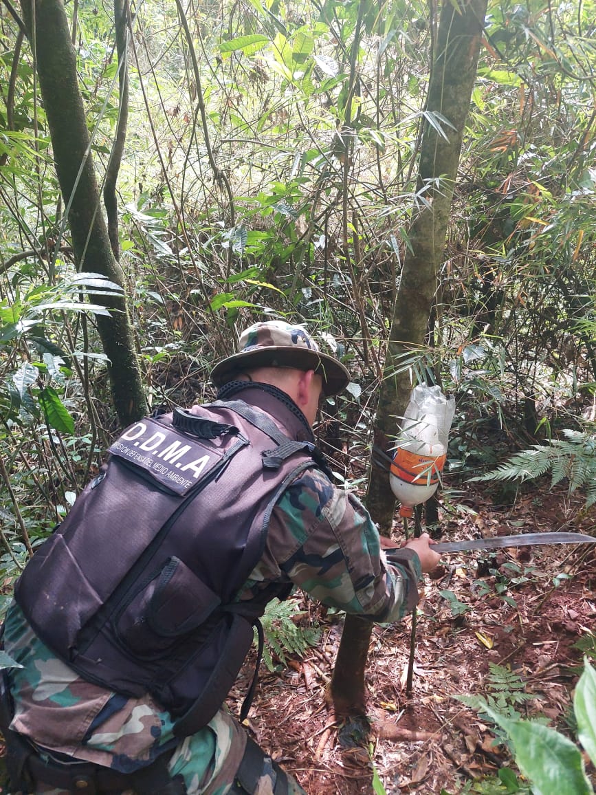 Policías ambientales desarmaron campamentos ilegales de caza en San Vicente