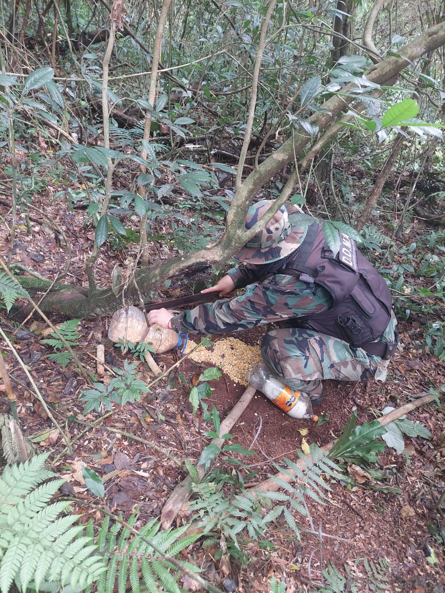 Policías ambientales desarmaron campamentos ilegales de caza en San Vicente