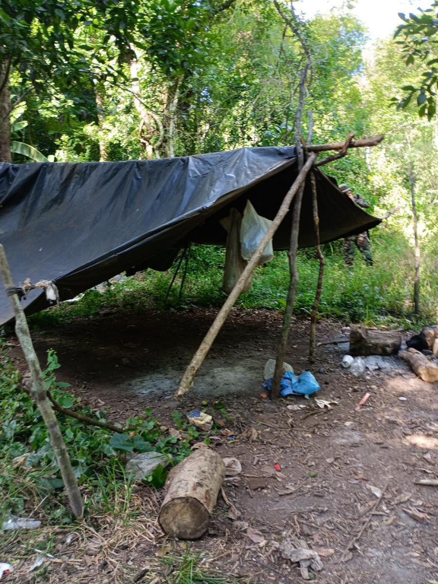 Reserva de Biosfera Yabotí: en operativo destruyeron trampas y sorprendieron a un cazador furtivo