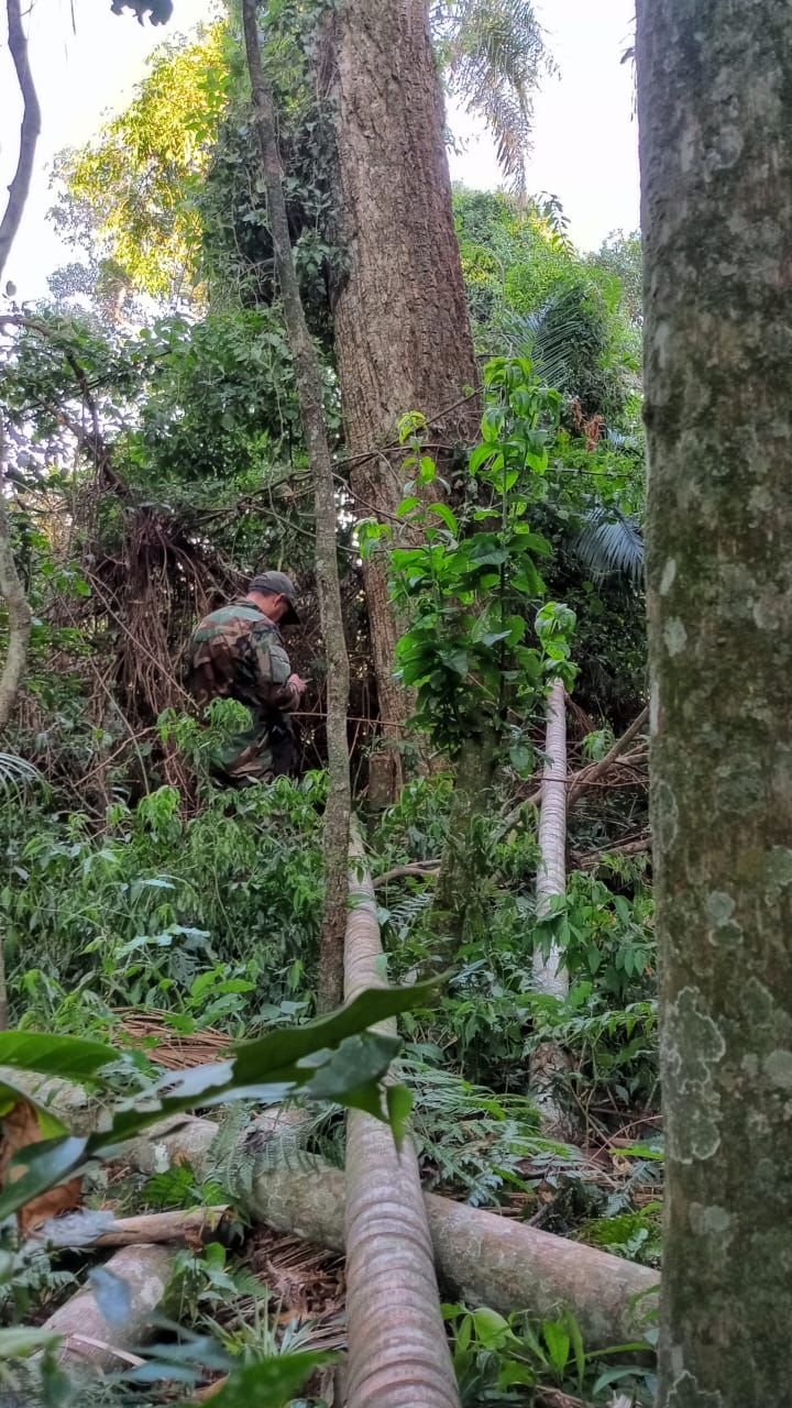 Detectaron rastros recientes de cazadores furtivos en Puerto Península