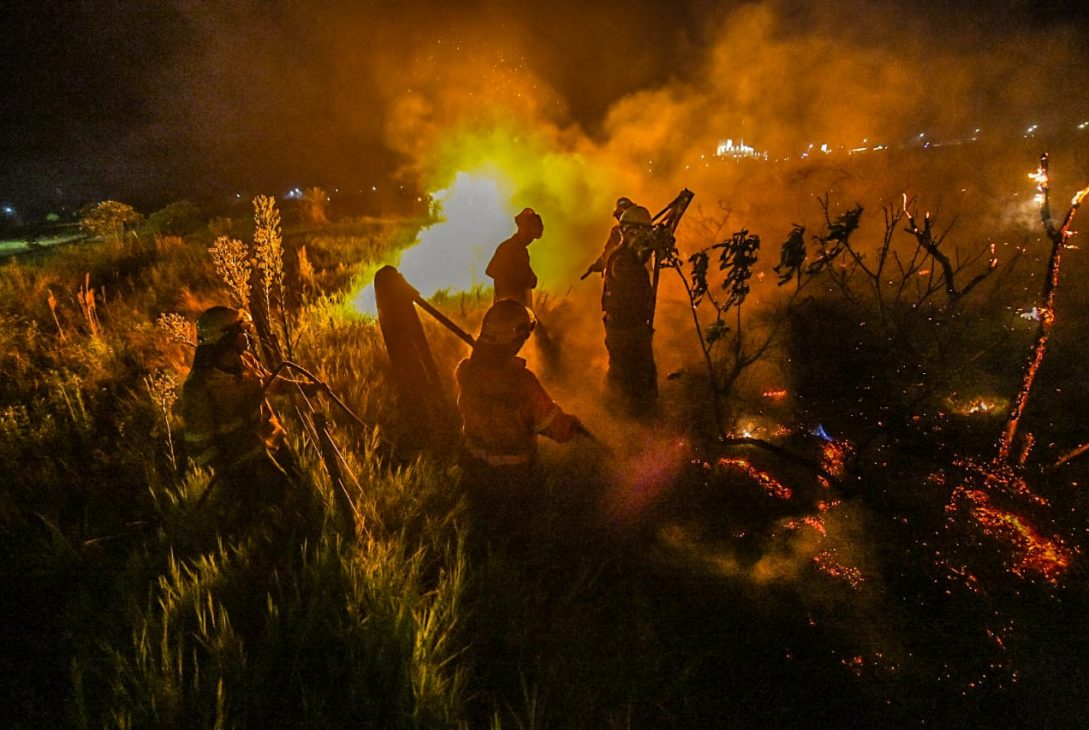 Alerta por el riesgo de incendios en Misiones: en lo que va del 2025 ya se combatieron más de 100 focos