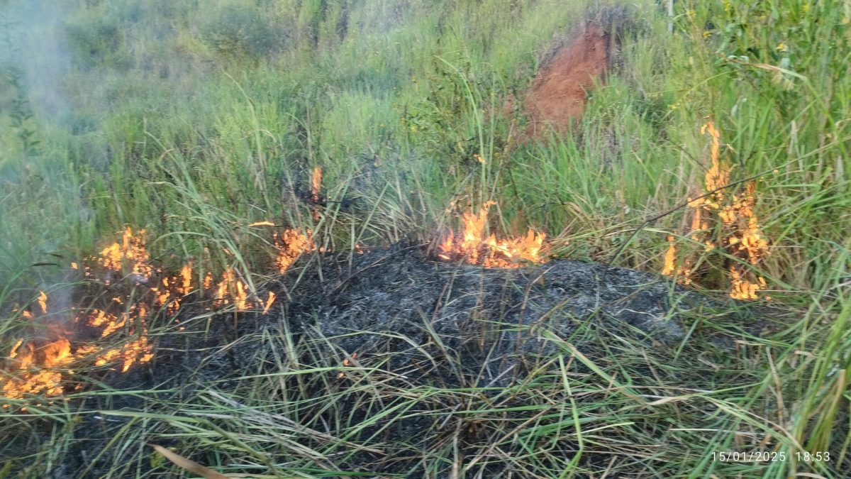 Puerto Iguazú: bomberos sofocaron incendio en la vieja arenera Schereiner