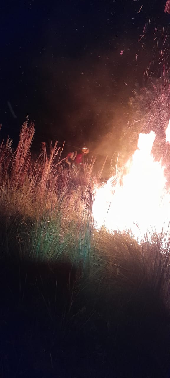 Bomberos trabajaron diez horas para controlar un incendio que arrasó 120 hectáreas en Santa Ana