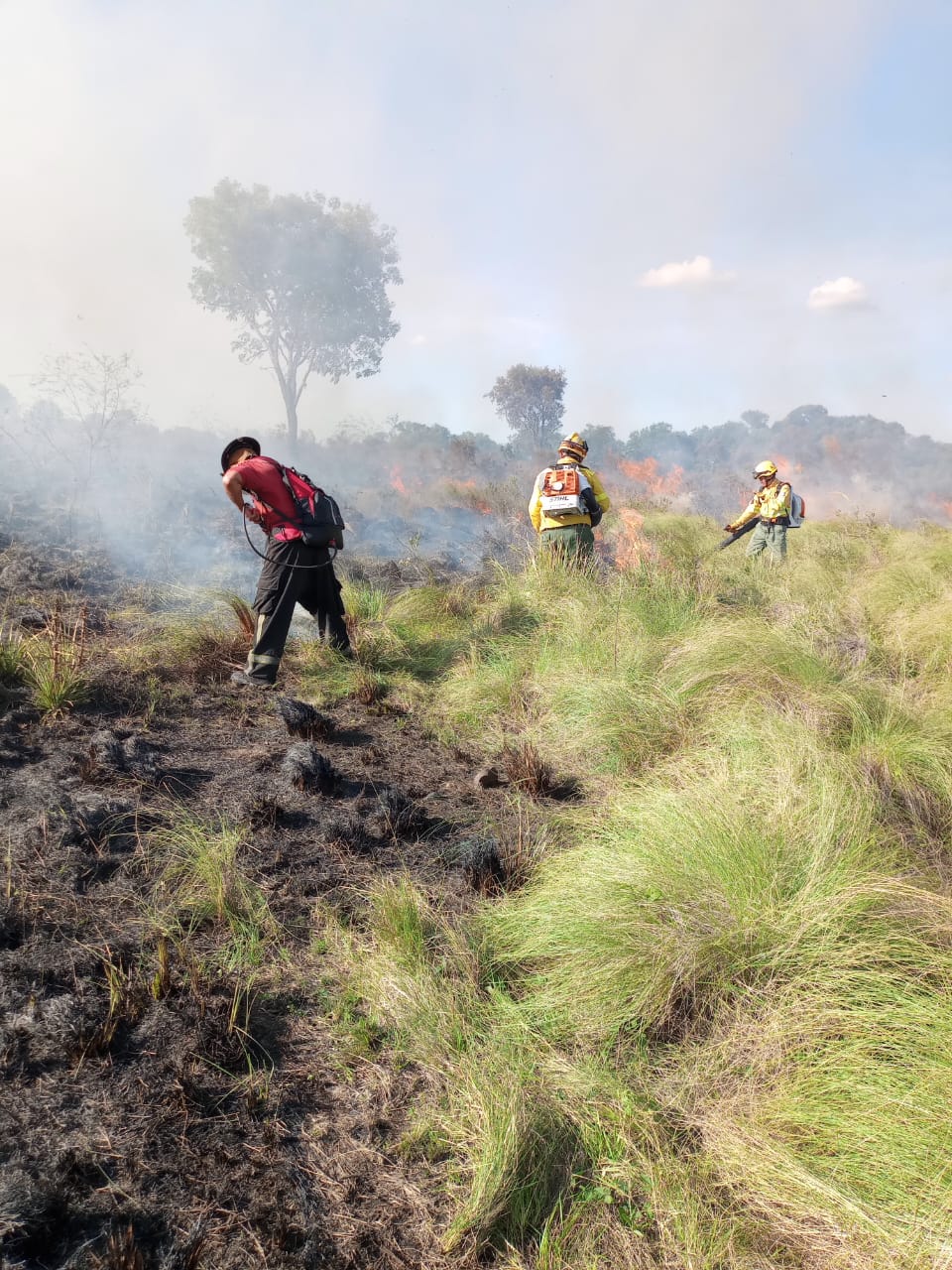 Bomberos trabajaron diez horas para controlar un incendio que arrasó 120 hectáreas en Santa Ana