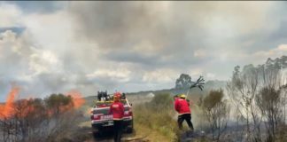 incendios