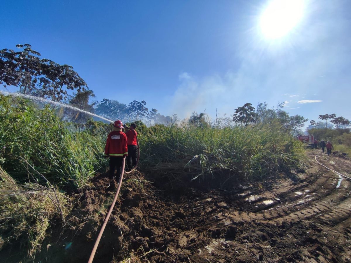 Emergencia ígnea en Misiones: incendio de basura y maleza, las principales demandas de bomberos imagen-6