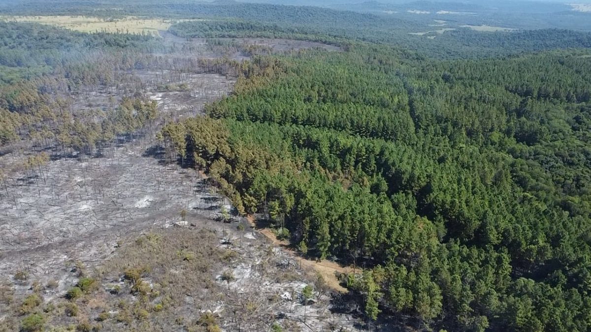 incendios en misiones (1)