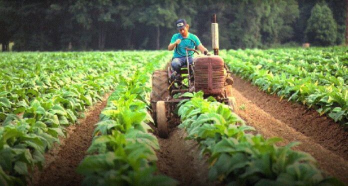 Retenciones cero: cómo Misiones impulsó un beneficio histórico