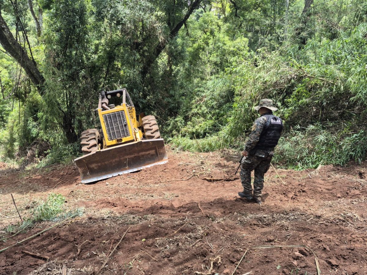 robo de madera piñalito (3)