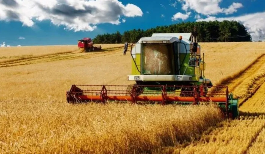 Alarma por una fuerte sequía en el campo que azota la zona agrícola central imagen-6