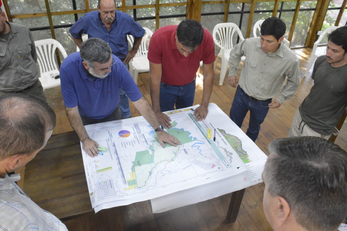 Tala ilegal en el Parque Urugua-í: avanzan con censo y mapa de puntos críticos imagen-6