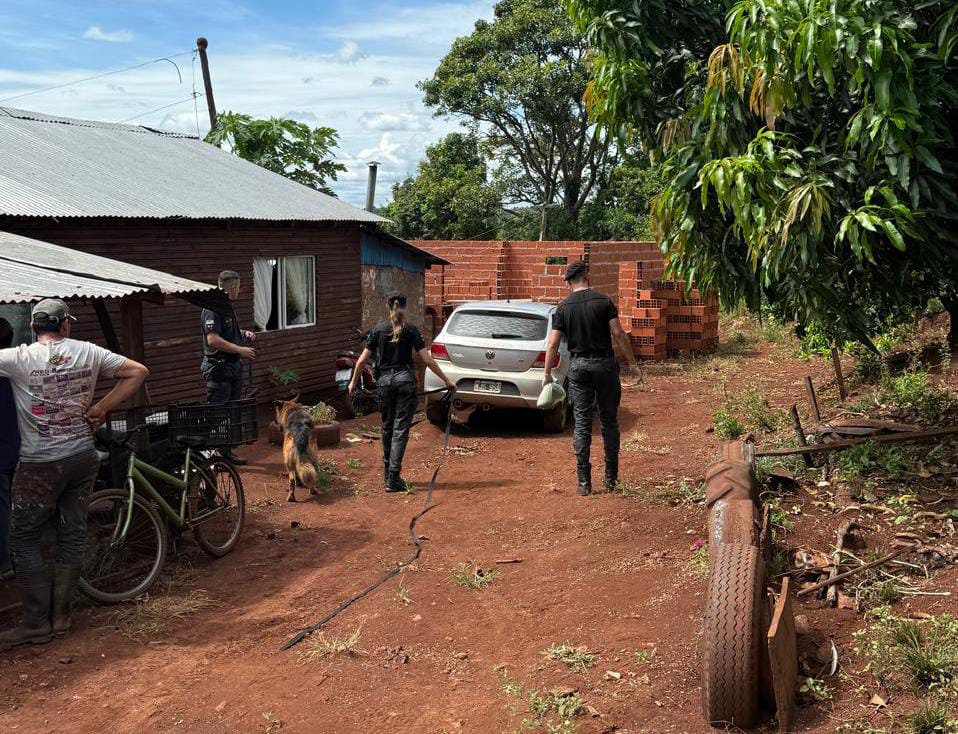 Con drones y perros adiestrados, sigue la búsqueda de un hombre desaparecido en Piñalito Norte imagen-6