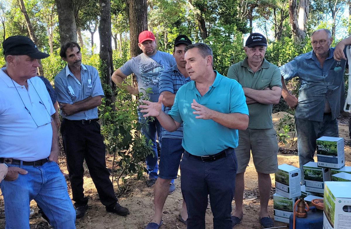 Más de 100 productores de Campo Grande recibieron insumos para sus chacras