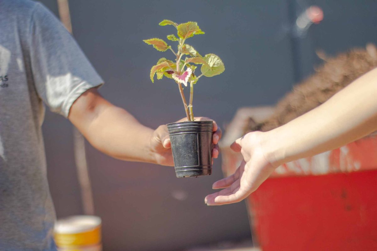 Impulsan en Posadas el reciclaje con el programa “Ecocanjes"