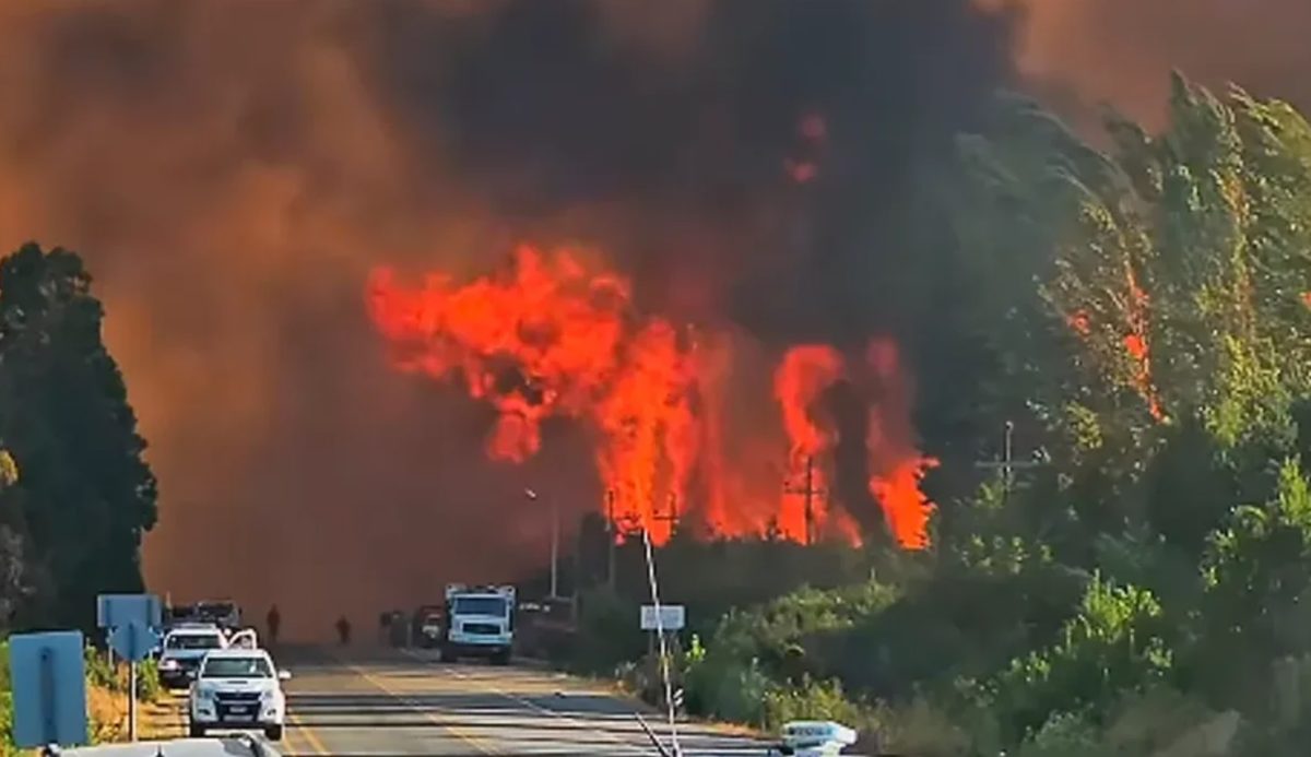 INCENDIOS EN EL BOLSON