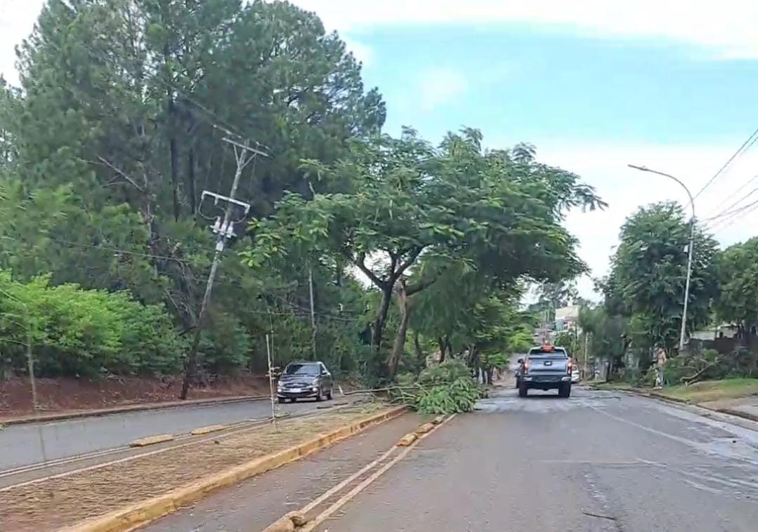 Intenso chaparrón con fuertes vientos ocasionó daños en Posadas