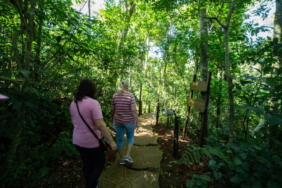 Este sábado, senderismo consciente y meditación guiada en el Parque Salto Encantado