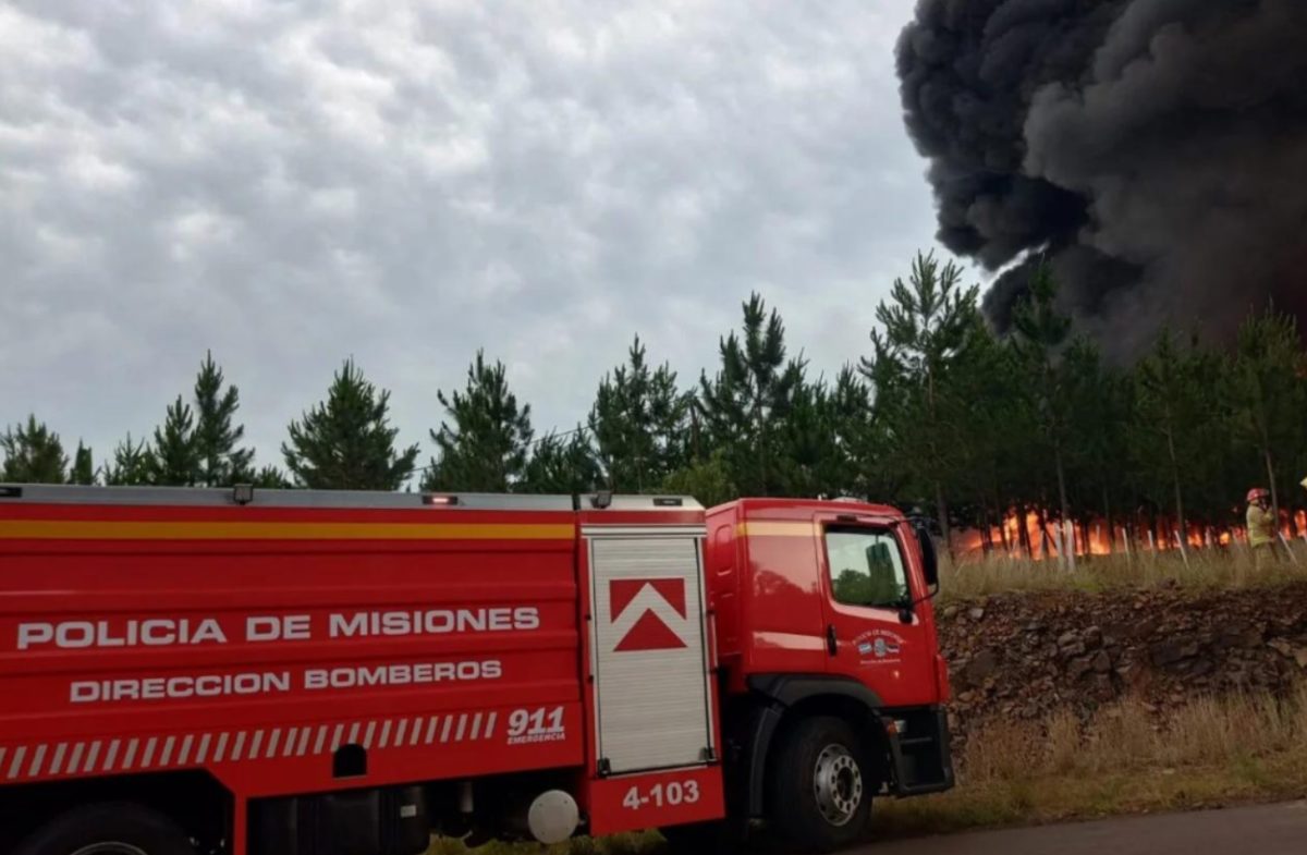 Tragedia en Posadas: bombero de la Policía falleció al intentar salvar a su compañera imagen-6