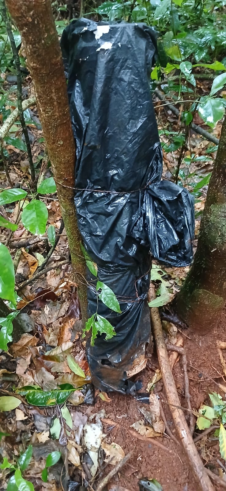 Detuvieron a un cazador armado con una escopeta en el Parque Salto Encantado