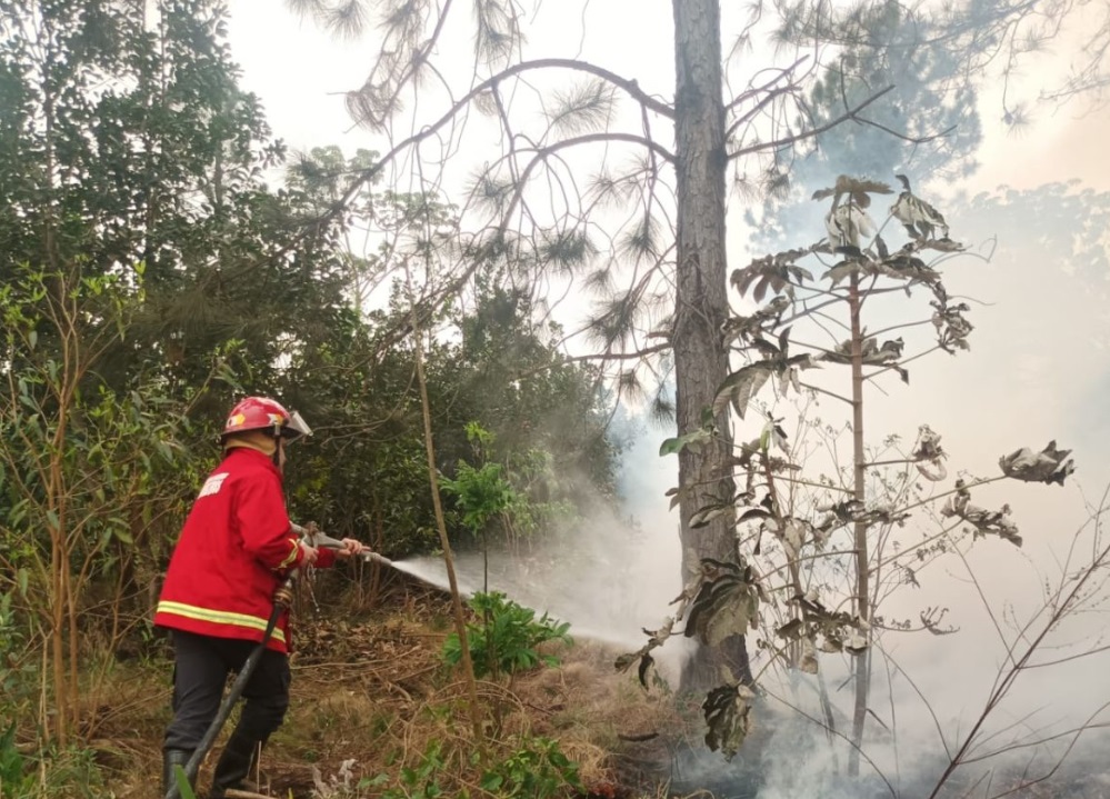 incendios