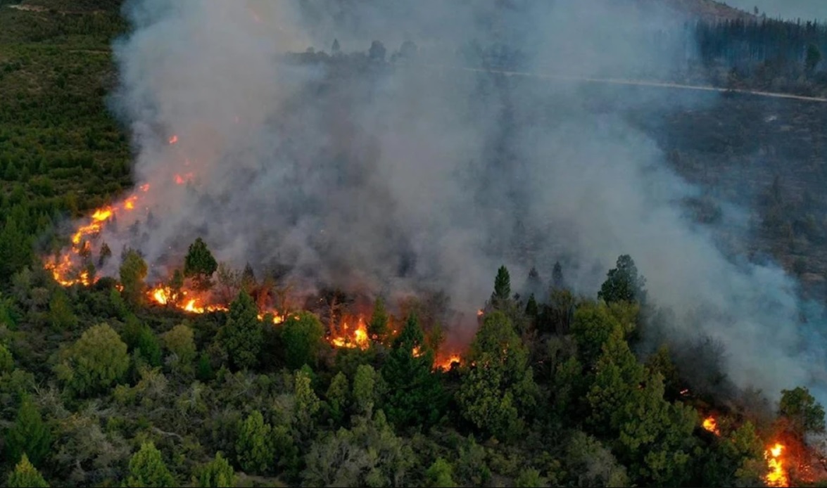 incendios en el sur