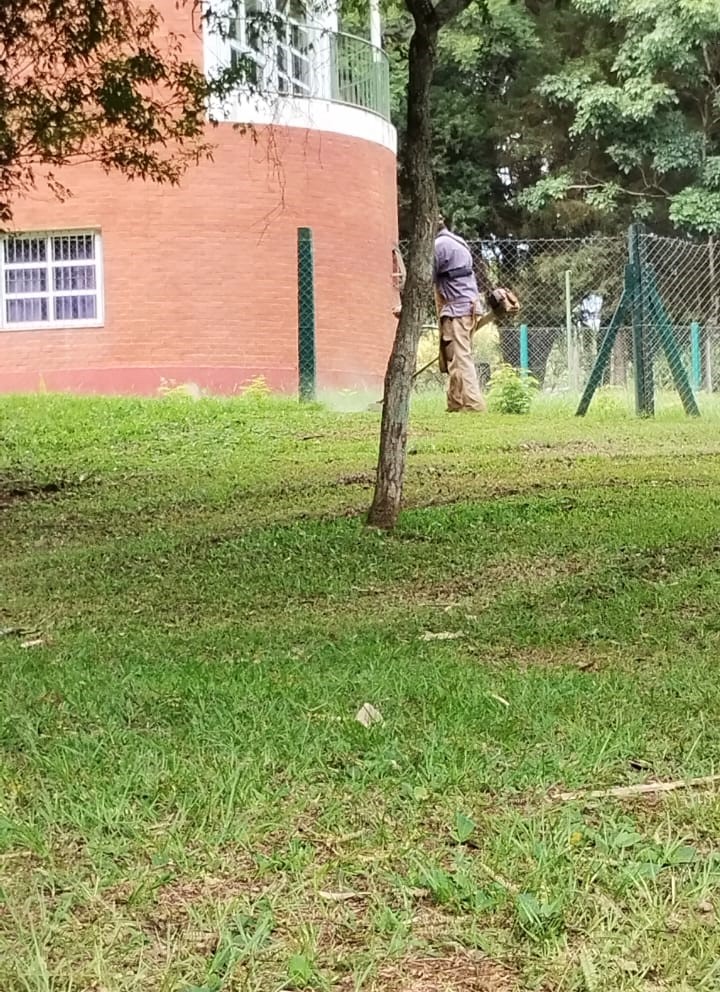 Inicio de ciclo lectivo: con fumigación, limpieza y apoyo logístico, Capioví acompaña a las escuelas