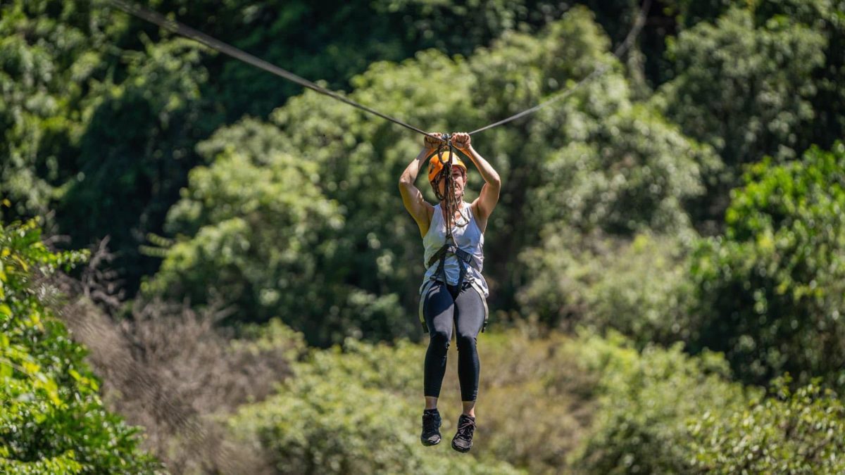 Misiones recibió más de 85.000 turistas en enero y crece la ocupación hotelera