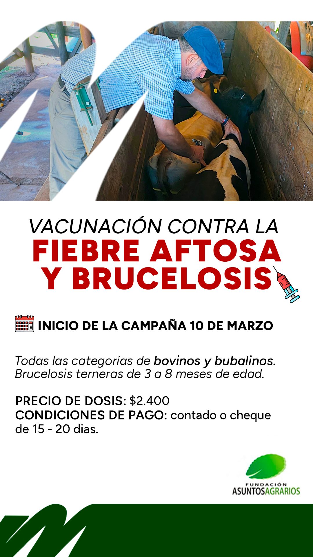 El 10 de marzo comienza la campaña de vacunación contra la fiebre aftosa y brucelosis en Misiones