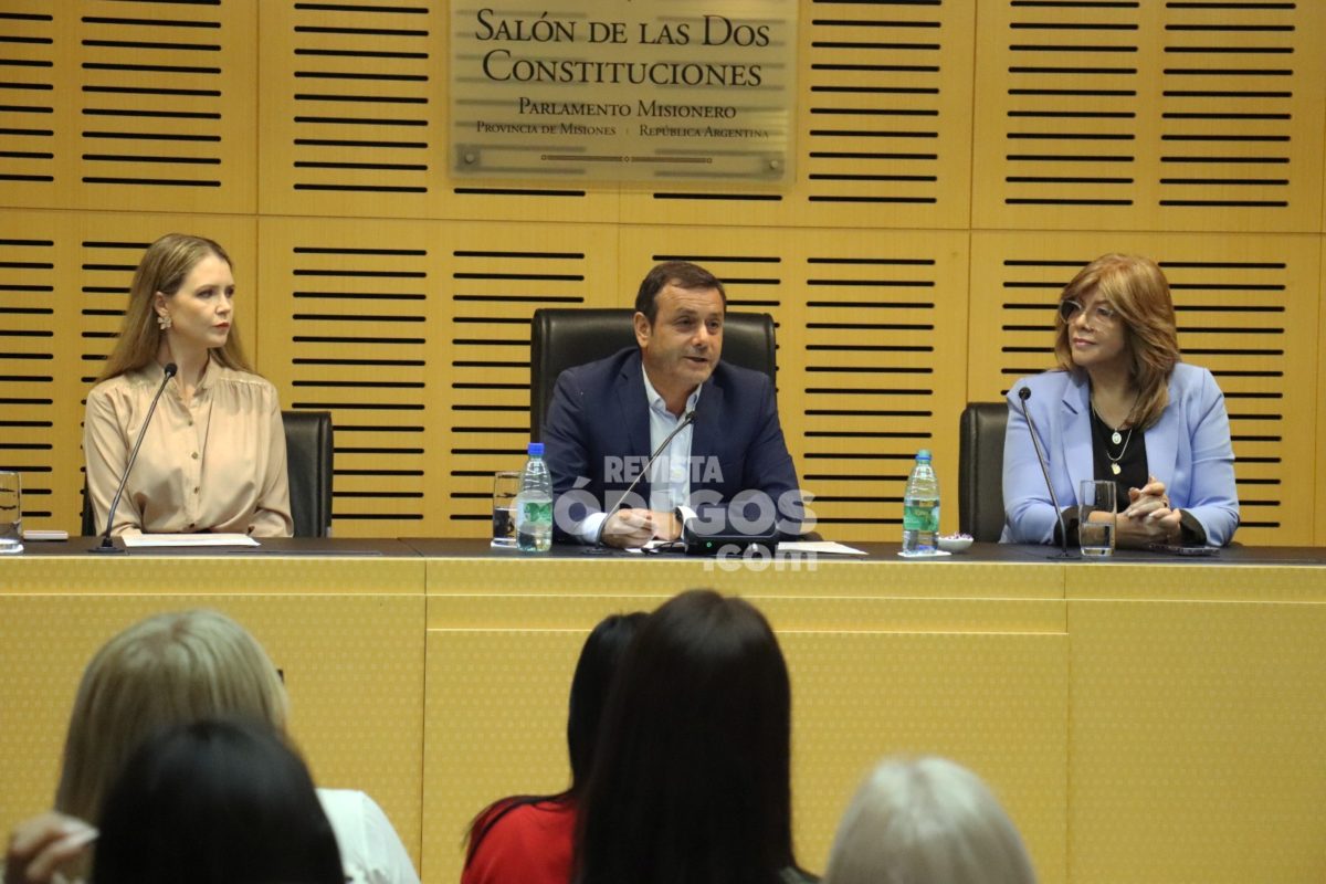 Se lanzó la edición 2025 del Parlamento Provincial de la Mujer en la Legislatura Misionera