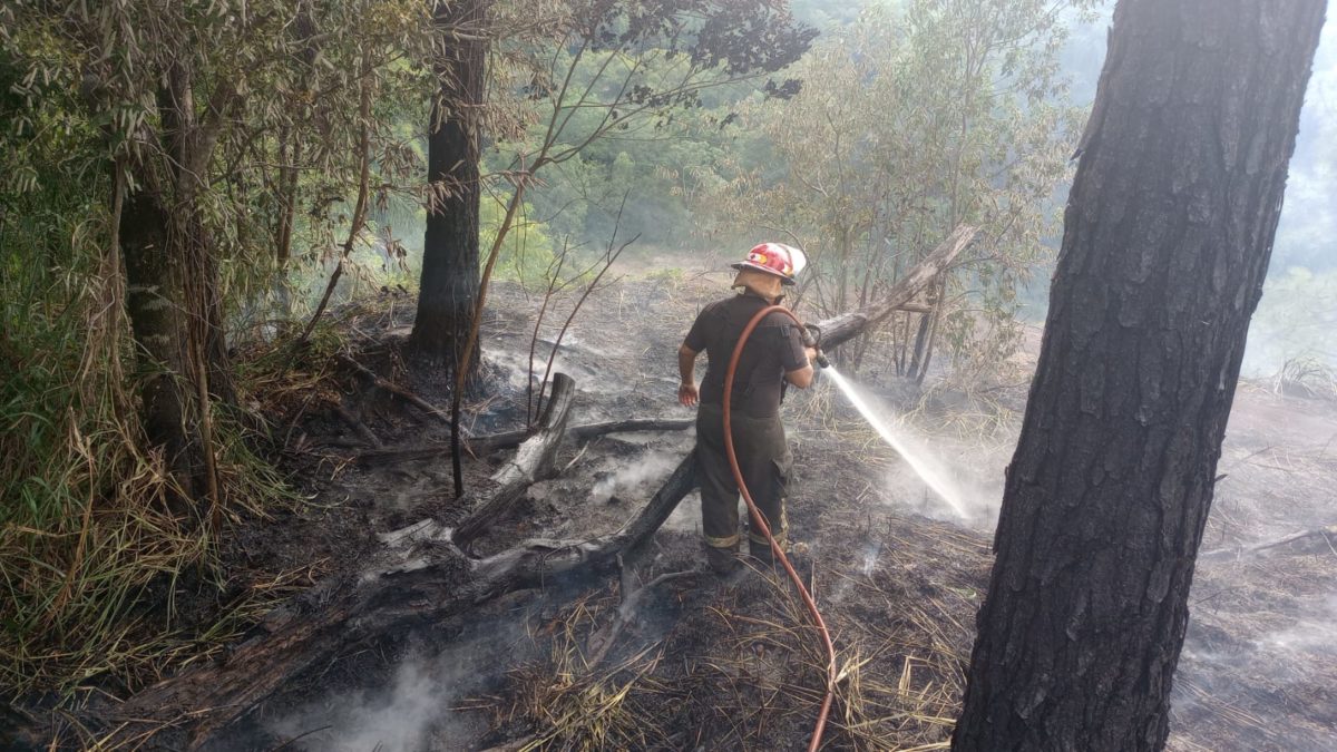 Bomberos combatieron 46 focos de incendios y labraron 13 actas por quemas ilegales