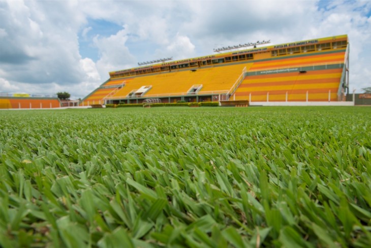 estadio crucero