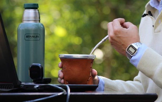 yerba mate (2)