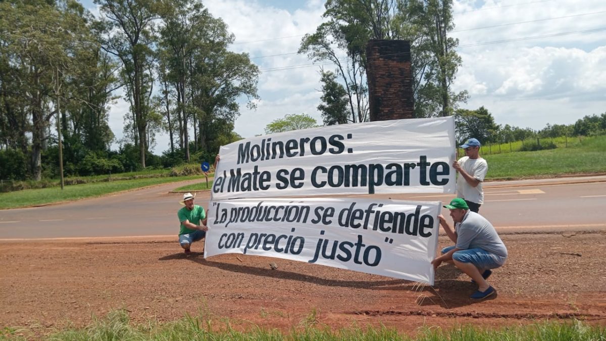 Yerbateros se movilizarán a Posadas para pedir la restitución del INYM tras desregulación del mercado