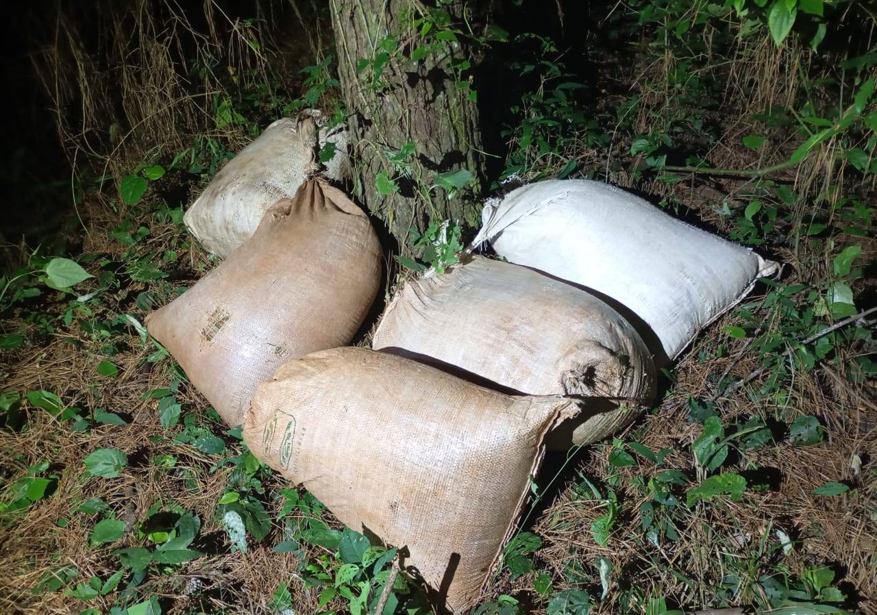 235135 kg marihuana misiones 1 - 1