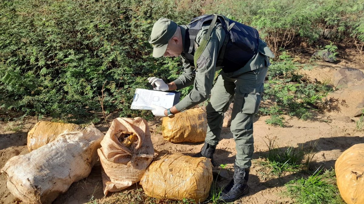 Gendarmería secuestró marihuana valuada en más de $688 millones en Esperanza y Urquiza