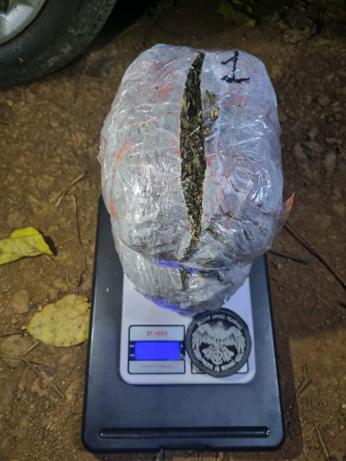 Desarticulan centro de acopio de marihuana valuada en mas de 2 millones en Alba Posse 2 - 1