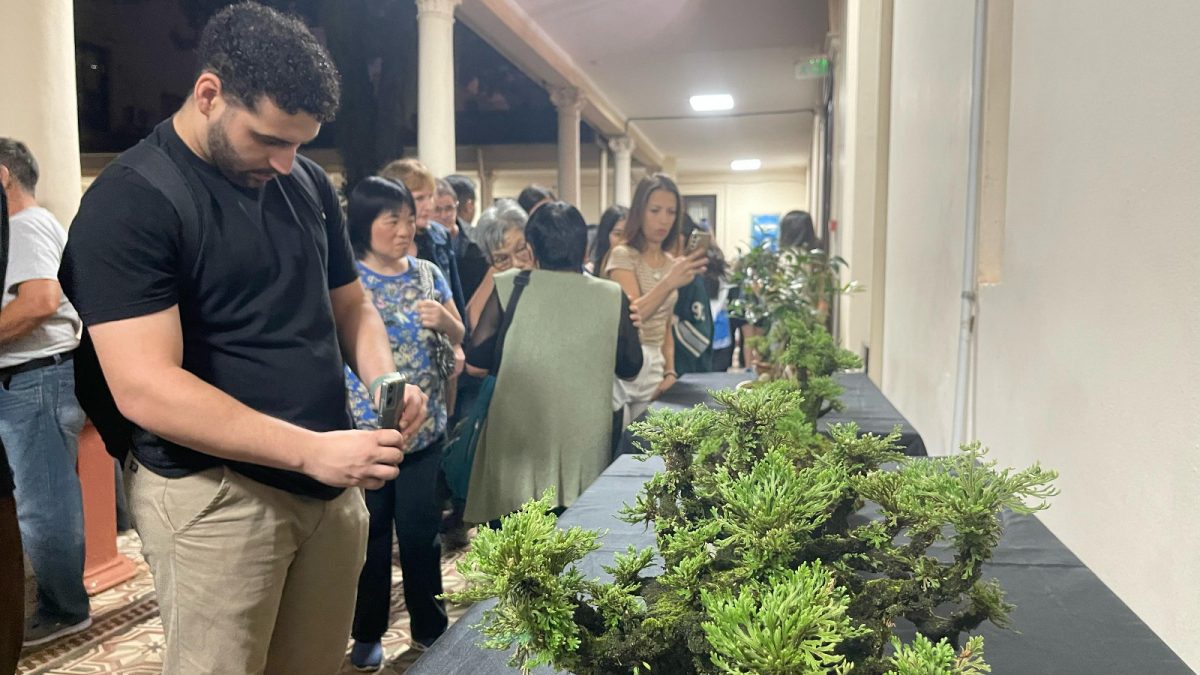 Exitosa inauguración de “La Expo Bonsái y Cultura Japonesa” en Posadas